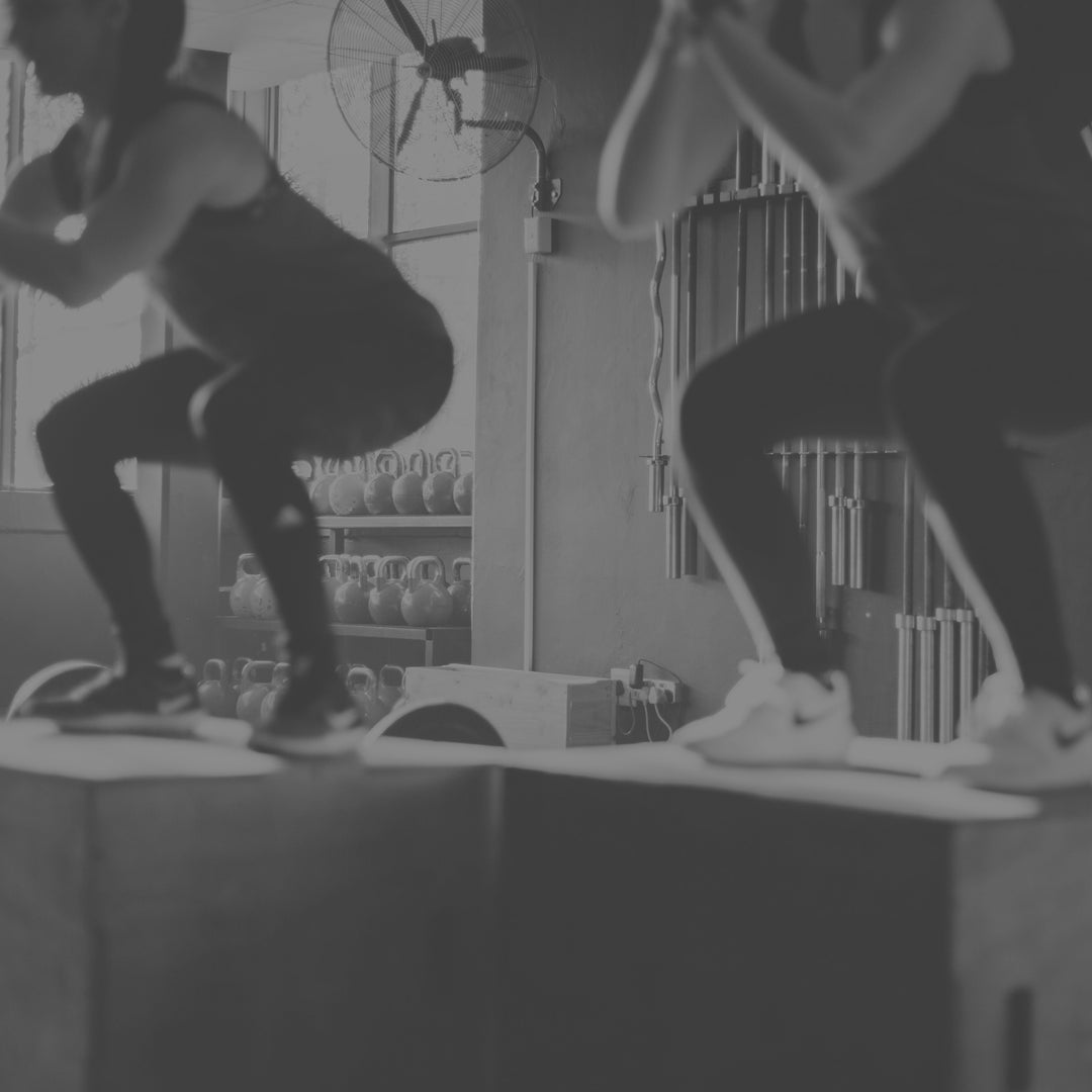 Metabolism